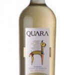 quara_torrontes