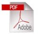 pdf-icon-copy