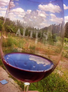 Altus_merlot_2007_na_taca