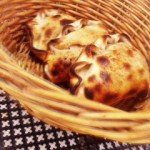 empanadas empanadas