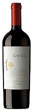 lota_2007